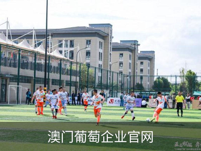 针织牛仔布厂家